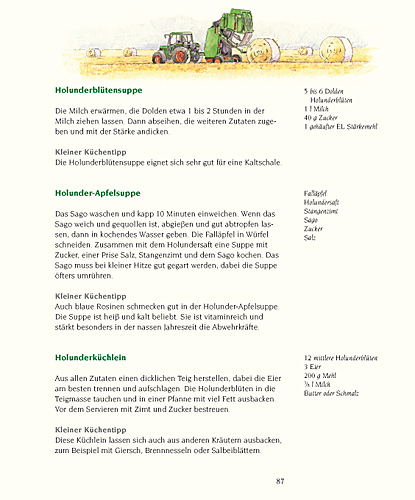 Innenansicht 87